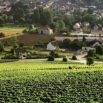 Réservez votre Week-end du 4 – 5 octobre 2025 : sur les routes de Bourgogne