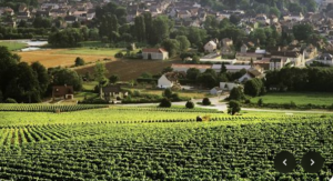 Lire la suite à propos de l’article Réservez votre Week-end du 4 – 5 octobre 2025 : sur les routes de Bourgogne