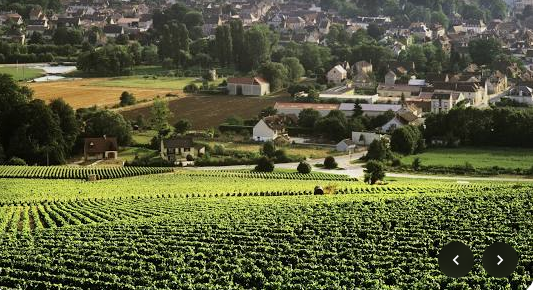 Lire la suite à propos de l’article Réservez votre Week-end du 4 – 5 octobre 2025 : sur les routes de Bourgogne